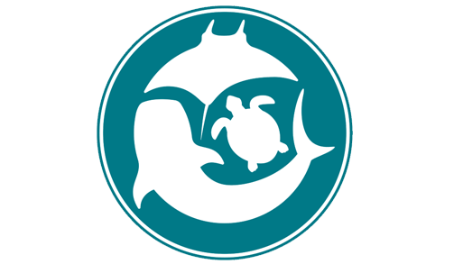 MMF Logo